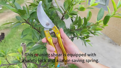 Tijera Para Podar 8 Pulgadas