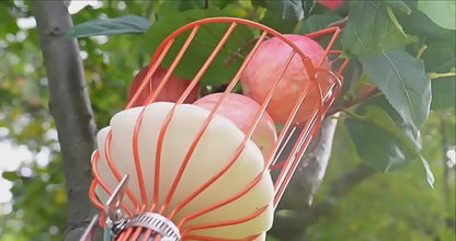 Recolector De Frutas Metalico